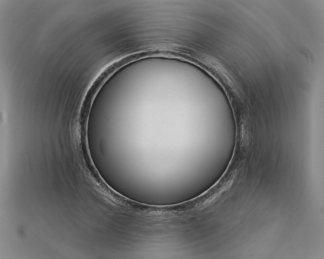 X0000113000924200908271344