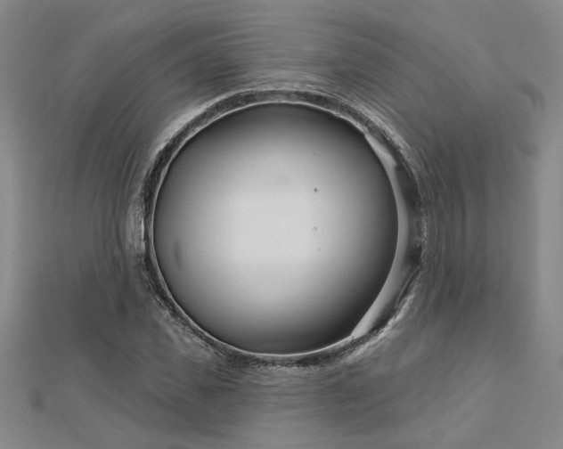 X0000113000925200908271344