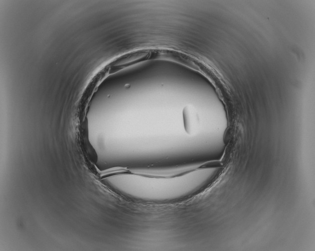 X0000113000926200908271344