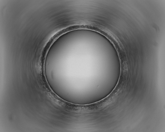 X0000113000927200908271344
