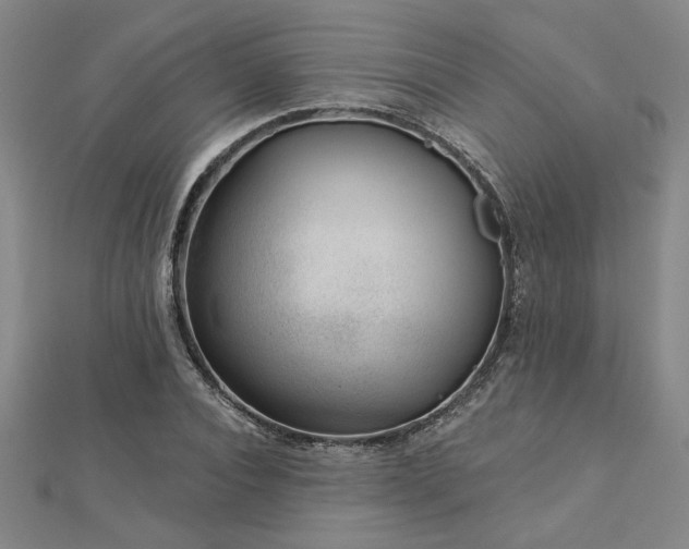 X0000113000928200908271344