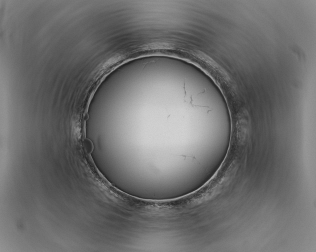 X0000113000929200908271344