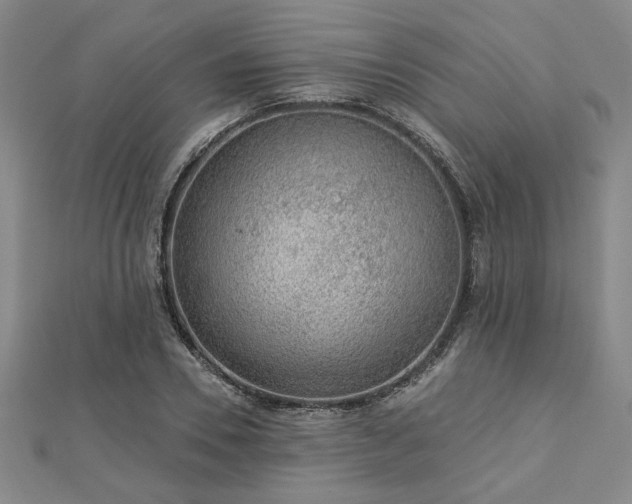 X0000113000930200908271344