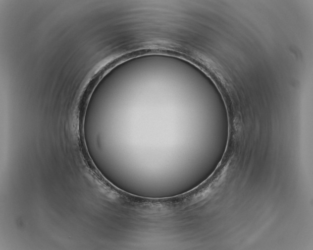 X0000113000931200908271344