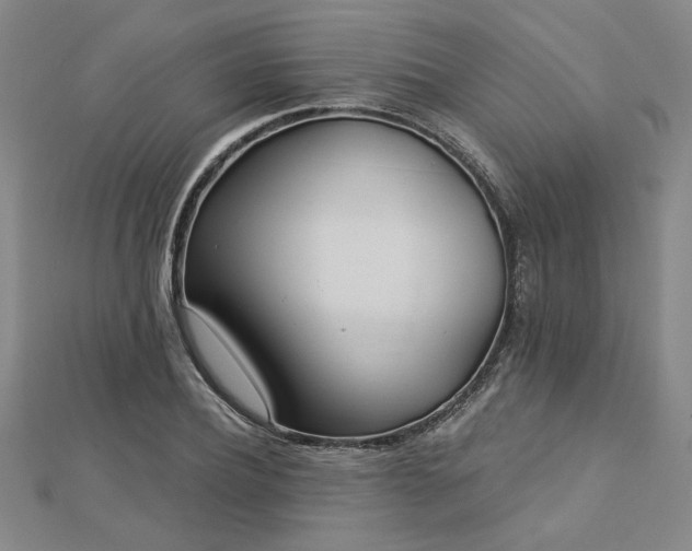 X0000113000932200908271344
