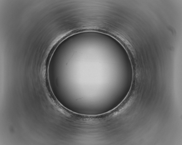 X0000113000933200908271344