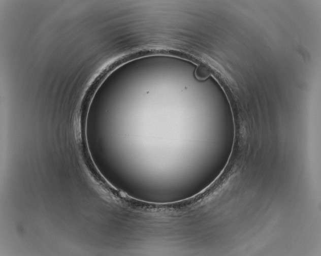 X0000113000934200908271344