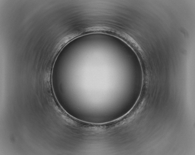 X0000113000937200908271344