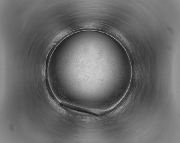 X0000113000938200908271344