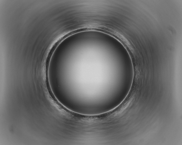 X0000113000939200908271344