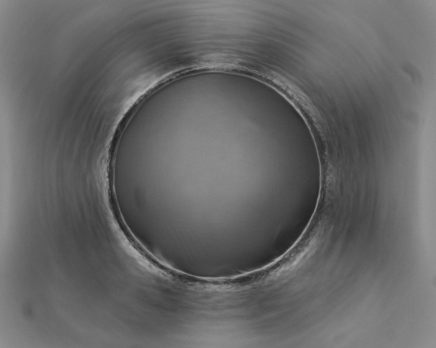 X0000113000941200908271344
