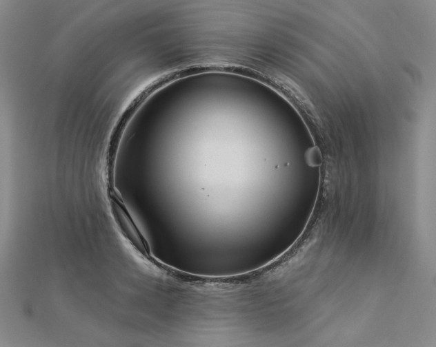 X0000113000942200908271344