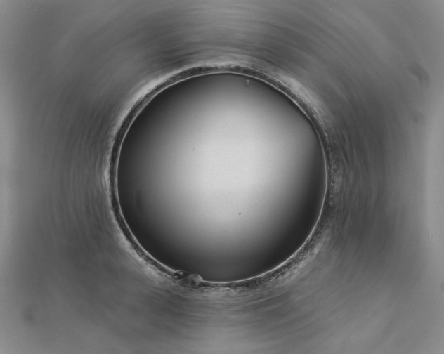 X0000113000943200908271344