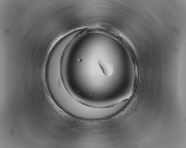 X0000113000944200908271344