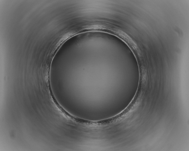 X0000113000945200908271344