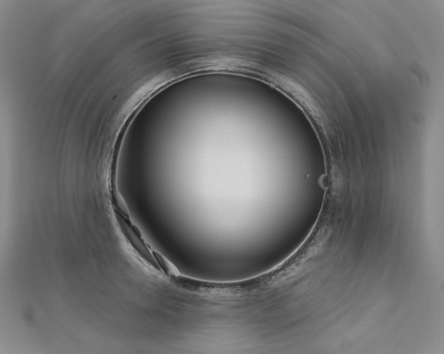 X0000113000946200908271344