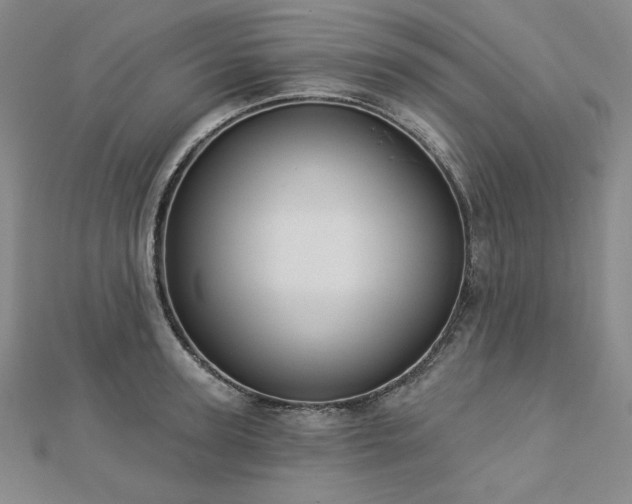X0000113000947200908271344