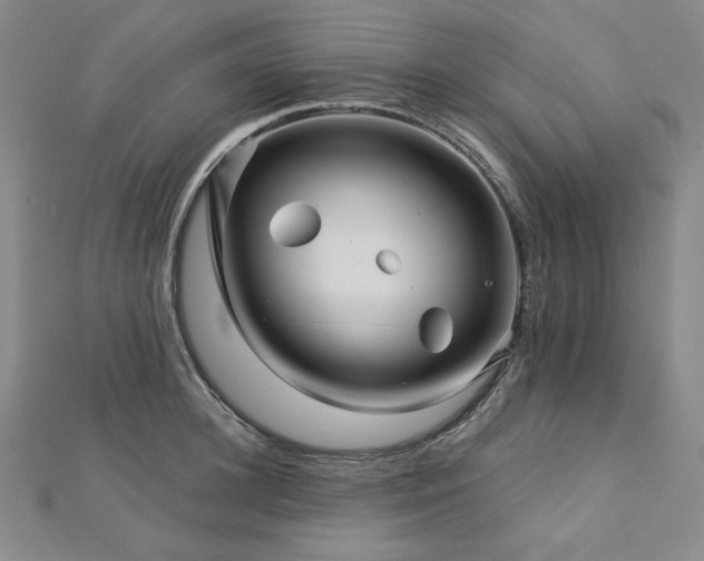 X0000113000948200908271344