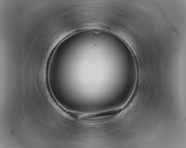 X0000113000949200908271344