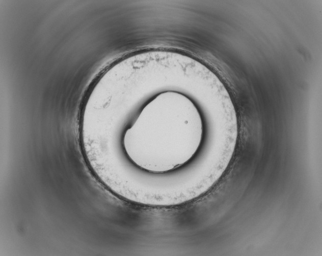 X0000113000950200908271344