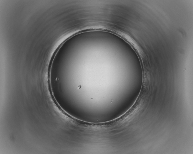 X0000113000951200908271344