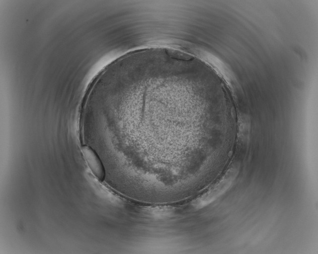 X0000113000952200908271344