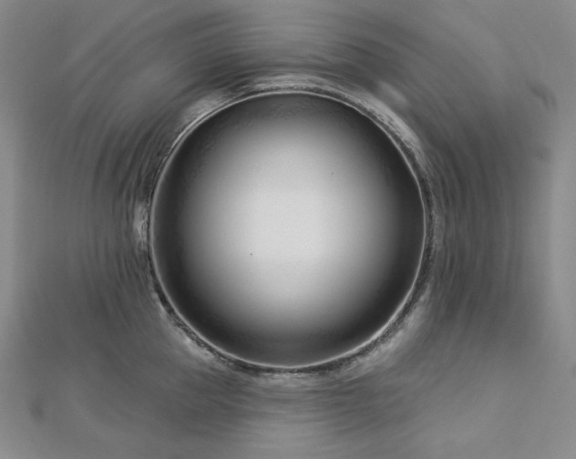 X0000113000953200908271344