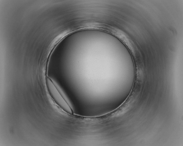X0000113000954200908271344