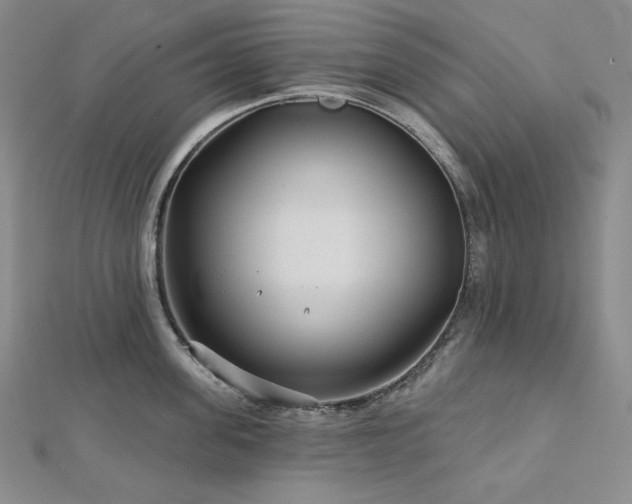X0000113000955200908271344