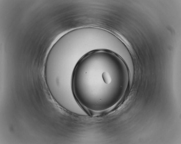 X0000113000956200908271344