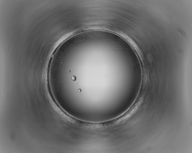 X0000113000957200908271344
