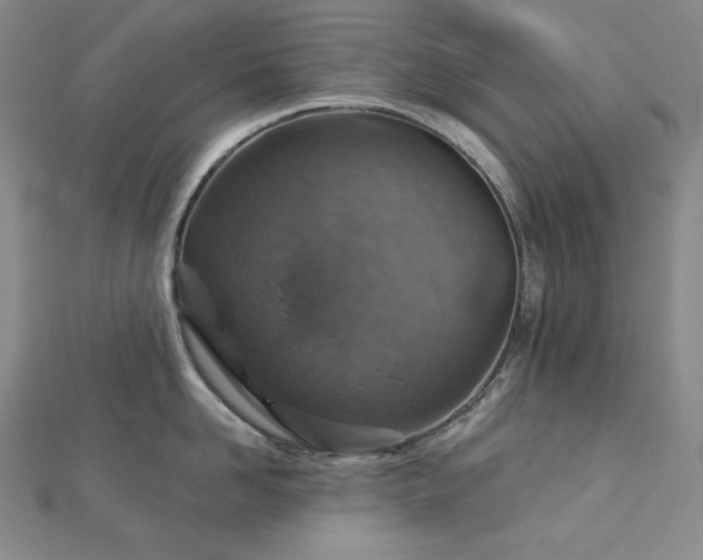 X0000113000958200908271344