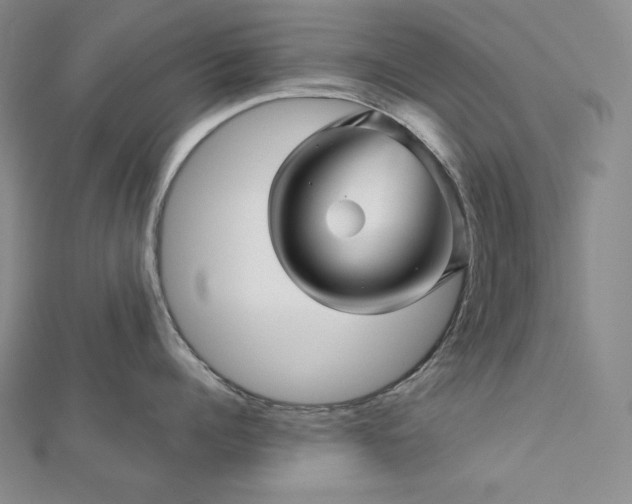 X0000113000960200908271344
