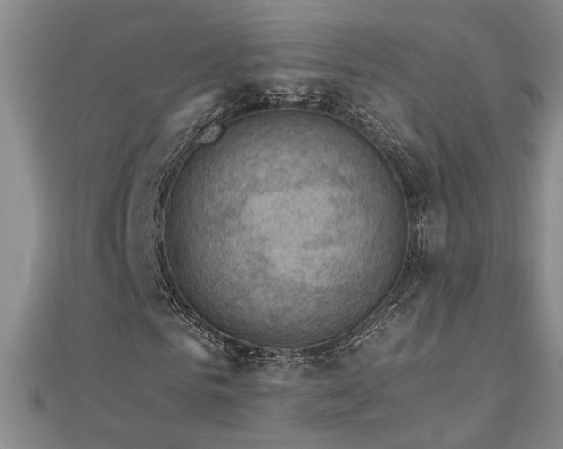 X0000113000961200908271344