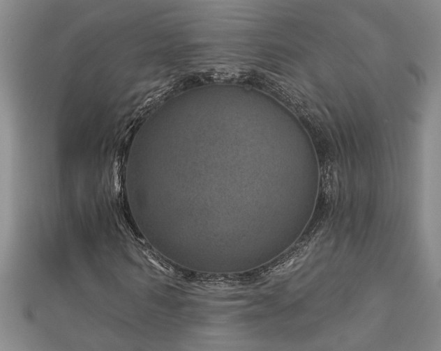 X0000113000962200908271344
