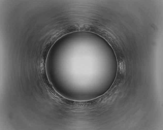 X0000113000963200908271344