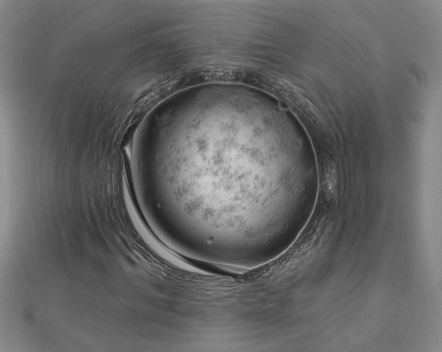 X0000113000964200908271344