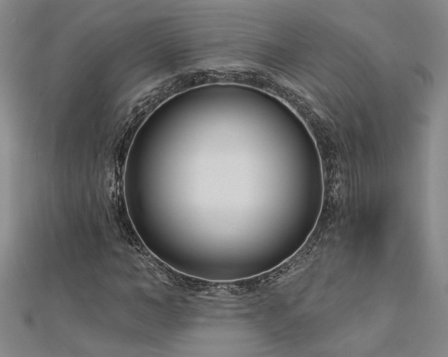X0000113000966200908271344