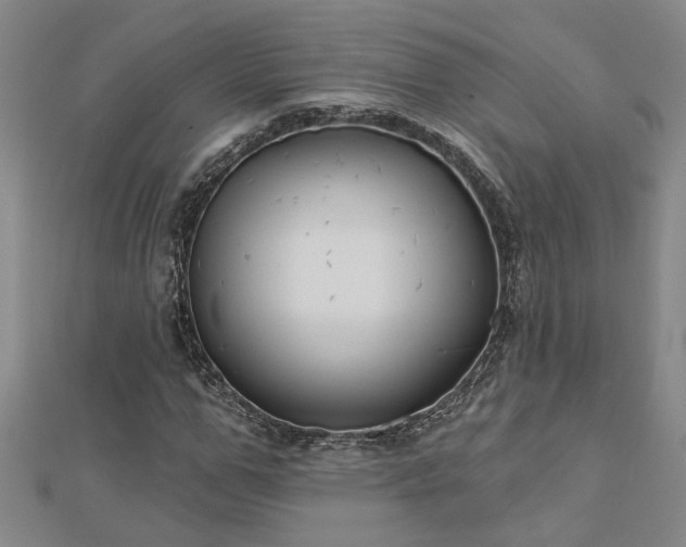 X0000113000967200908271344