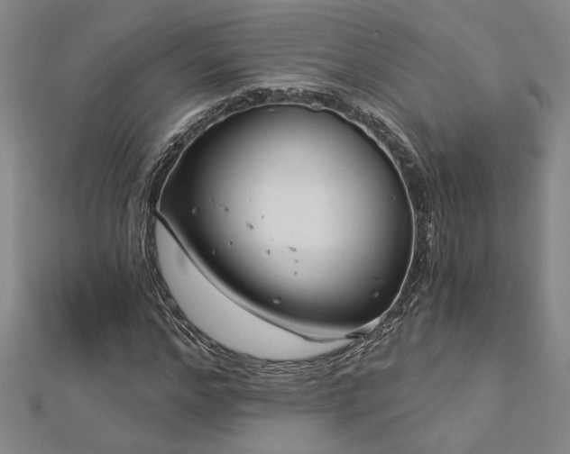 X0000113000968200908271343
