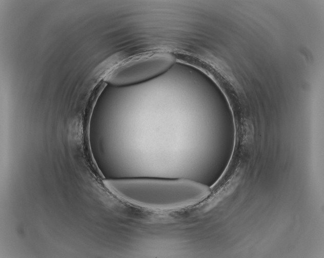 X0000113000969200908271343