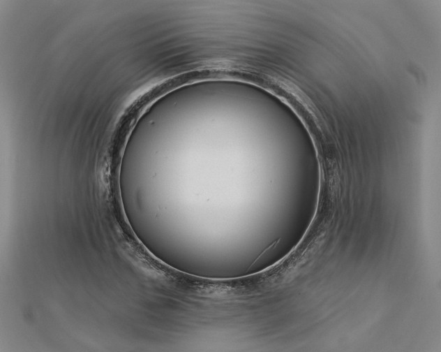 X0000113000971200908271343