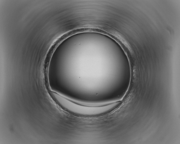 X0000113000972200908271343
