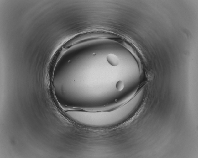 X0000113000973200908271343