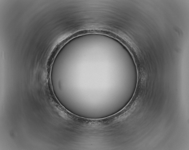 X0000113000974200908271343