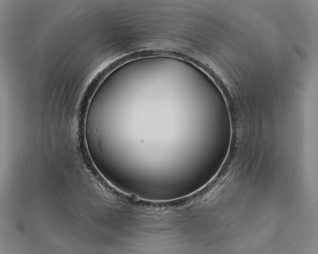 X0000113000975200908271343