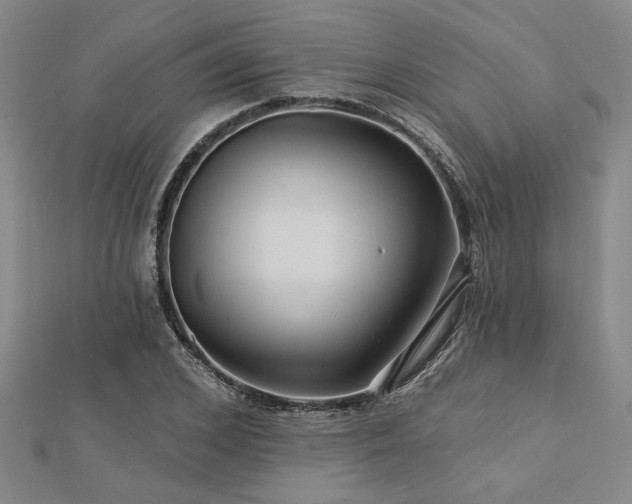 X0000113000976200908271343