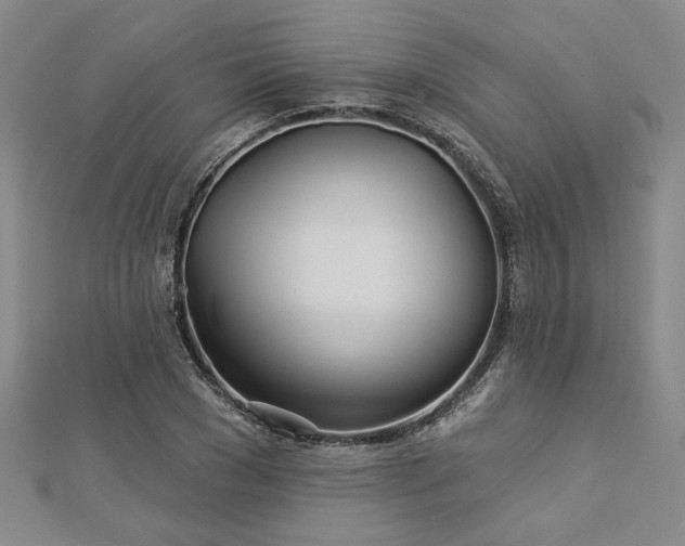 X0000113000977200908271343