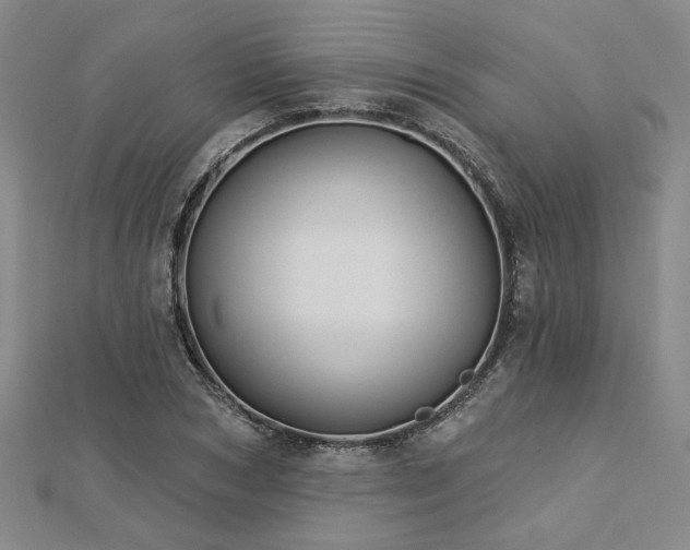 X0000113000978200908271343