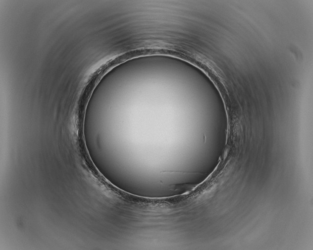 X0000113000979200908271343